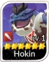 Hokin