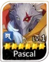 Pascal